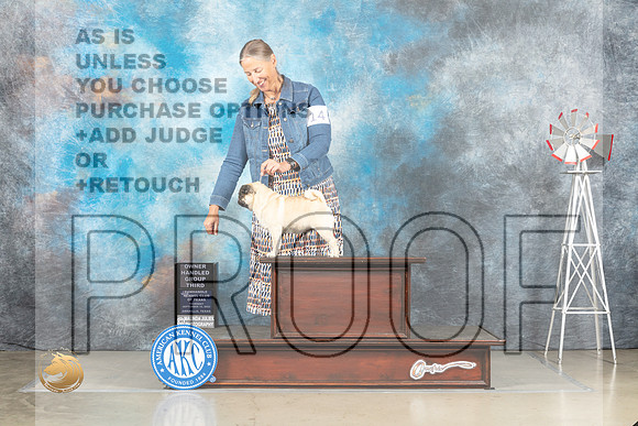 Pug #14 Thur OHG3 Judge Eric Liebes_MJ_3671_Amarillo_2022_HR3