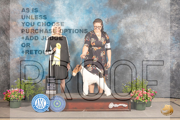 Wirehaired Fox Terrier #7 Fri G3 Judge Jan Paulk_MJ_0031_SA_2022_HR3