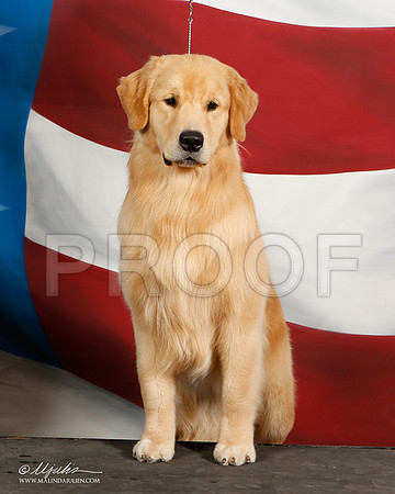 _ST_6421-DallasJul2014-HR3