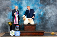 Cocker Spaniel #5 Sat BIS Judge Larry Abbott