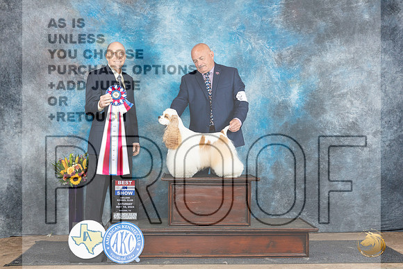 Cocker Spaniel #5 Sat BIS Judge Larry Abbott__JP_0104_Abilene_2024_HR3