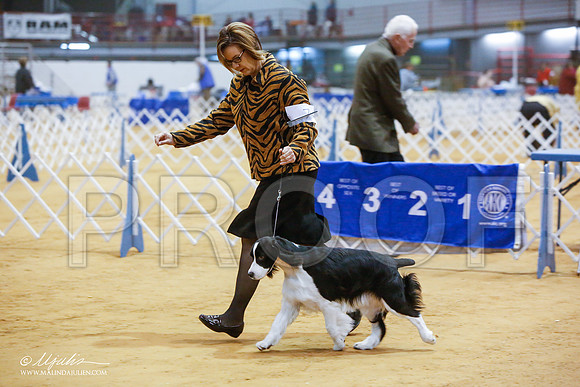 _JN_7367-GlnRoseJan2015-HR3