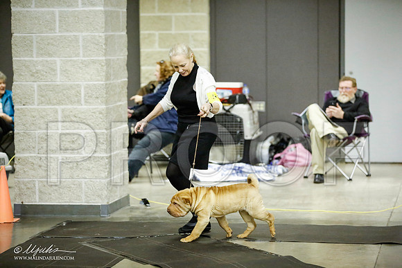 _JJ_5700-BeltonJan2015IABCA-HR3