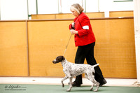 Best in Show Puppy Sat S2 Ring