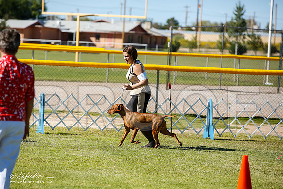 _JN_7380-AlamogordoOct2014-HR3