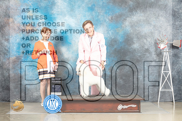 Poodle Miniature #8 Fri G4 Judge Sharon Derrick_MJ_4093_Amarillo_2022_HR3