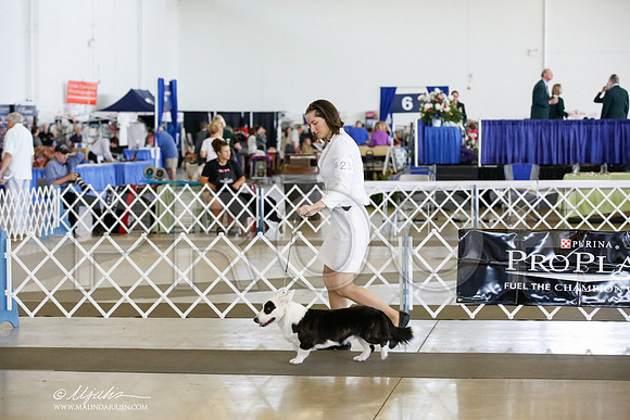 _CK_8060-DallasJul2014-HR3