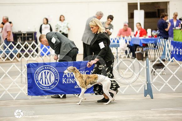 _RH_1843-AblnMay2014-web