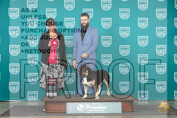 American Bully #825 Sat G2 Judge Stephanie Mueller r__JP_2570_Premier_2024_HR3