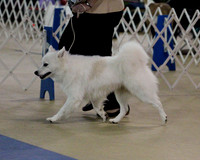 Judy Coles Hutto Feb 2012