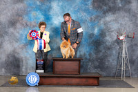 Pomeranian #19 Thurs BISS Pat Trotter