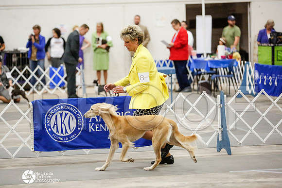 _RH_1722-AblnMay2014-web