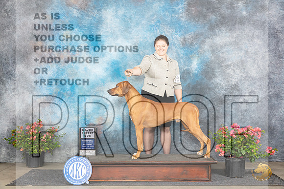 Rhodesian Ridgeback #17 Sat SD Judge Victor Rosado __JP_4827_San Antonio_2024_HR3