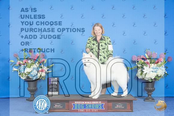 Samoyed #10 FRI WB NC Judge Nancy Liebes__JP_9158_Houston_2024_HR3
