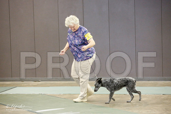 _JN_2569-BeltonJan2015-HR3