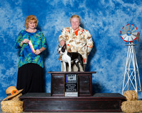 Boston Terriers #8 Sun BOB Krouse Susan Judge Ms Betty Nelson Pollock