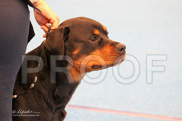 Rott-9592LR