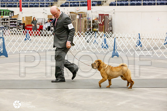 _HR_2039-AblnMay2014-web