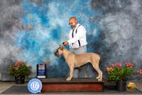Cane Carso #10 Sun BOSCH Judge Karen McFarlane