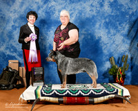 Australian Cattle Dog #57 Fri RWD