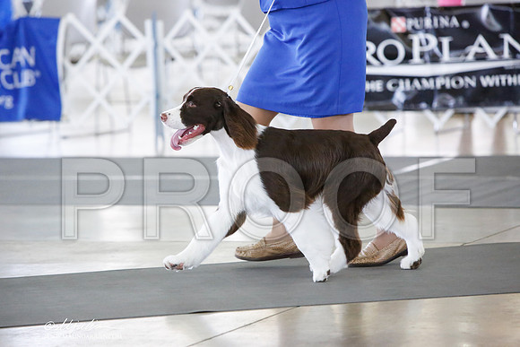 _JN_0275-DallasJul2014-HR3