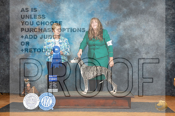 Whippet #14 Sat G1 Judge Karen Hynek__JP_8131_MARSHALL_2024_HR3