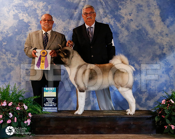 akita-9958-HstnMar2014-HR3