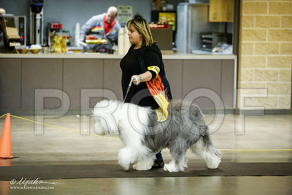 _JJ_6179-BeltonJan2015IABCA-HR3