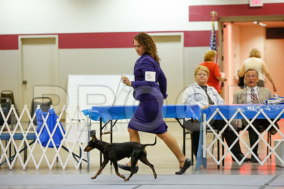 _JN_4849-AmarilloSept2014-HR3