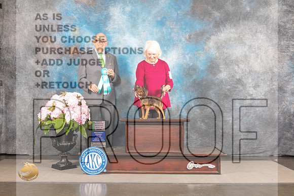 Russian Toy #6 SAT RBOH Judge Joe Walton_MJ_7413_Houston_2022_HR3