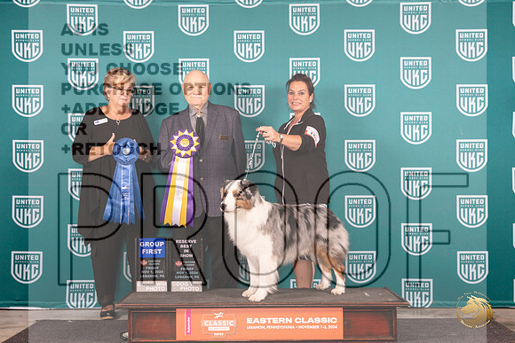 Australian Shepherd #165 Fri RBIS Judge Larry Hansen__JP_1898_UKCEastern_2024_HR3