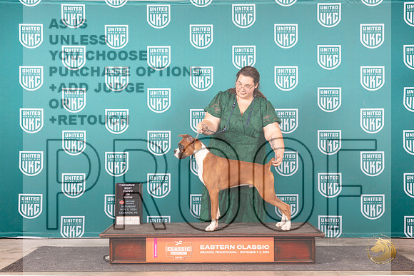 Boxer # Sat PRBIS Judge William Chrazanowski__JP_2408_UKCEastern_2024_HR3
