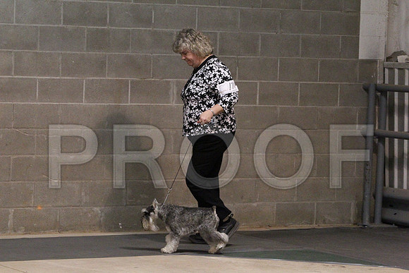 MiniSchCCL_1815LR
