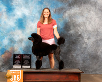 Poodle Std #102 Sat1 TD Rally1