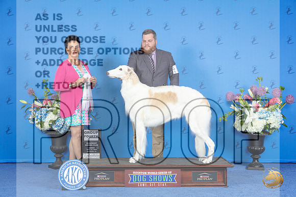 Borzoi #24 SUN G4 Judge Debbie Freeman__JP_0673_Houston_2024_HR3