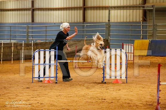 _MJ_2590-AfgBeltonOct2014-HR3