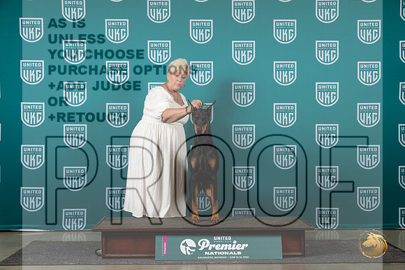 Doberman Pinscher #1266 RCH Judge Lori Sargent__JP_2179_Premier_2024_HR3