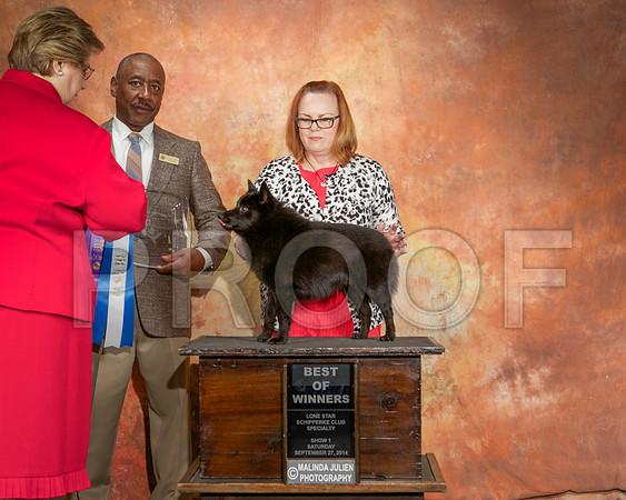 _ST_2410-CarlrolltonSept2014-HR3