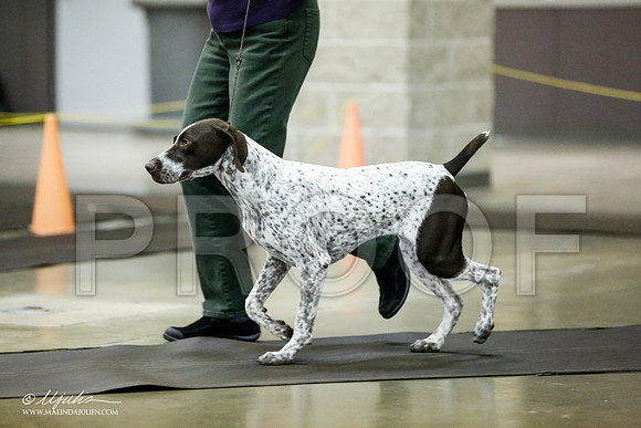 _RH_0942-BeltonJan2015IABCA-HR3