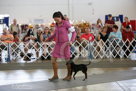 _JJ_2339-DallasJul2014-HR3