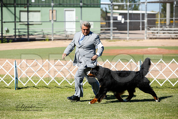 _JN_0662-AlamogordoOct2014-HR3