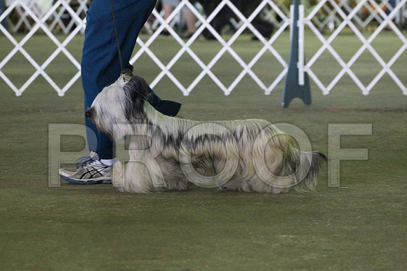 MJS_7381