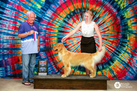 Golden Retriever #8 Sat BOS