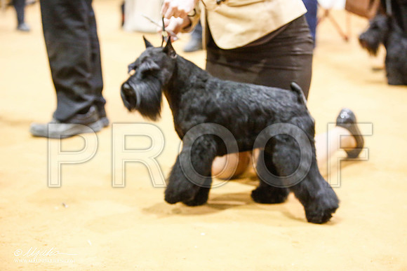 _JJ_7378-GlenRoseJan2015-HR3