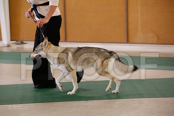 ChWd-9523-NormNov13-HR