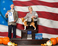 Beagles 15in #7 Sat G1 Ayala Brooke Ann David Wolf Agent Brooke Young Judge Mr Allen L Odom