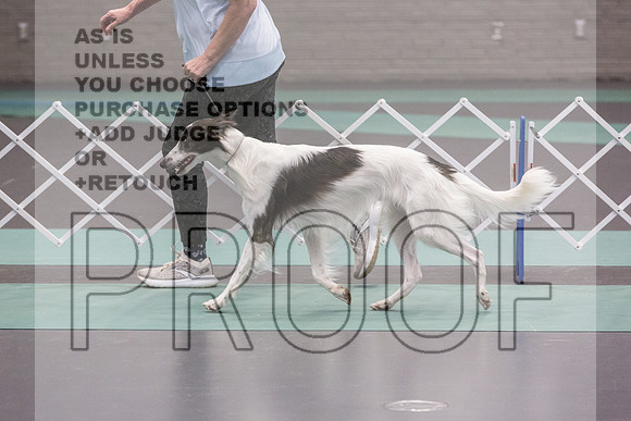 Silken Windhound Ring Sat_JJL_8356_UKCLNGVIEWOCT2024_2024_HR3