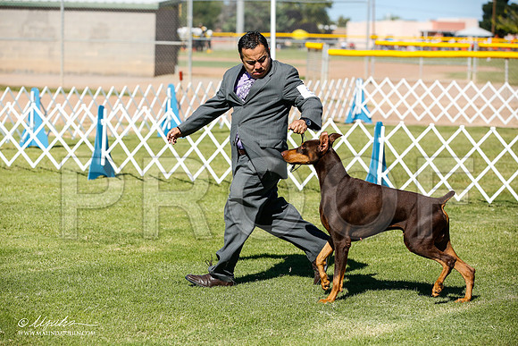 _JN_5965-AlamogordoOct2014-HR3