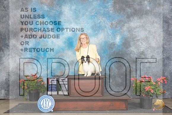 Papillion #17 Sat WDBOPBBreedByM Judge Azalea Alvarez__JP_4994_San Antonio_2024_HR3