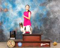 Papillon #7 Sun OHG4 Judge Peggy Lloyd